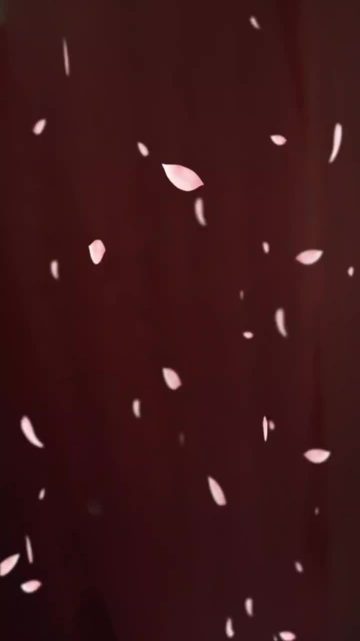@Palluappuchinni73