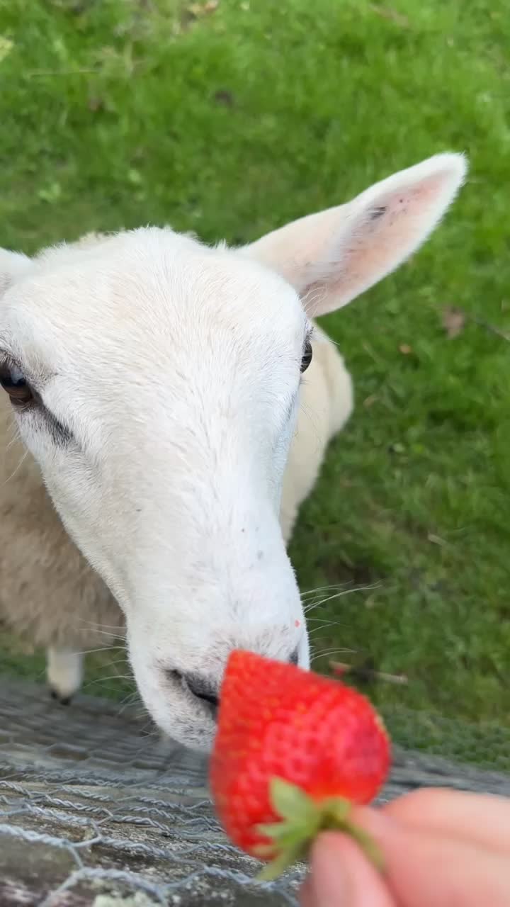 @Farming7744