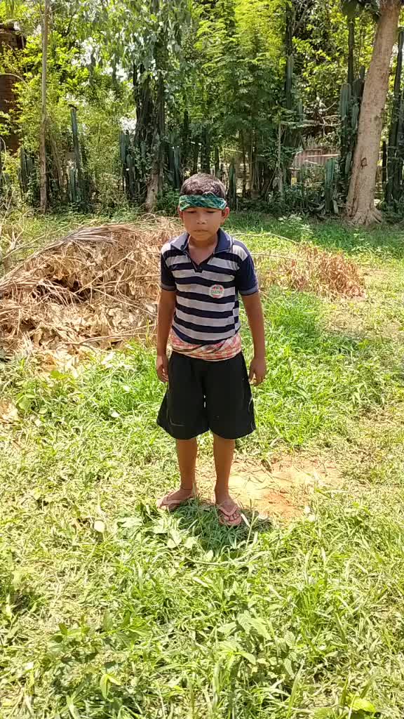 @user7730329571183