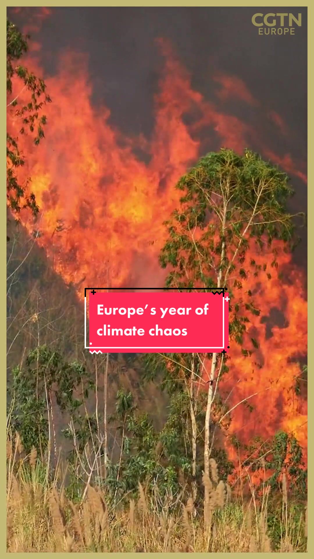 @ourplanetneedsyou