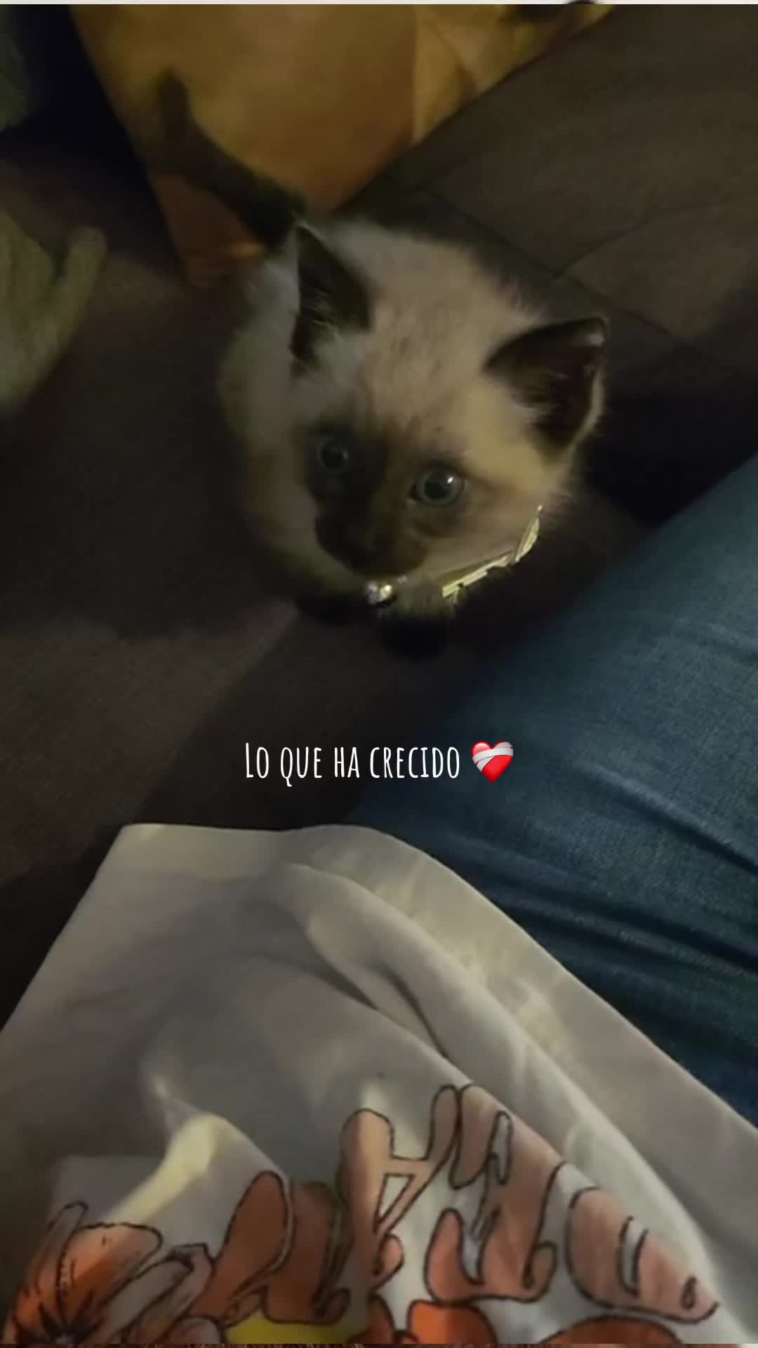 @𝑳𝒖
