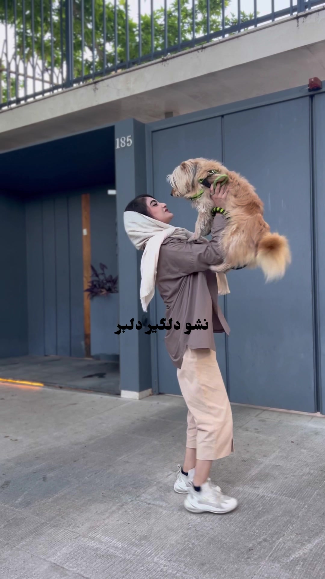 @Shaghayegh.fr