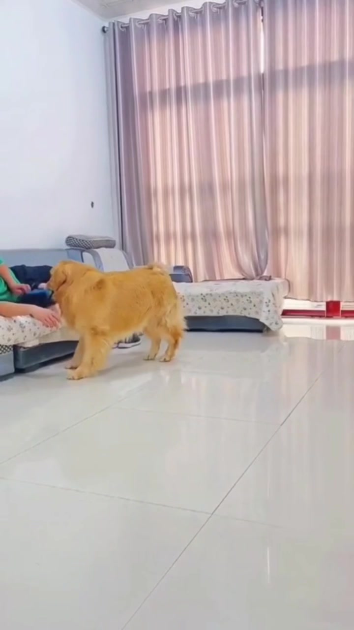 @Houseday007