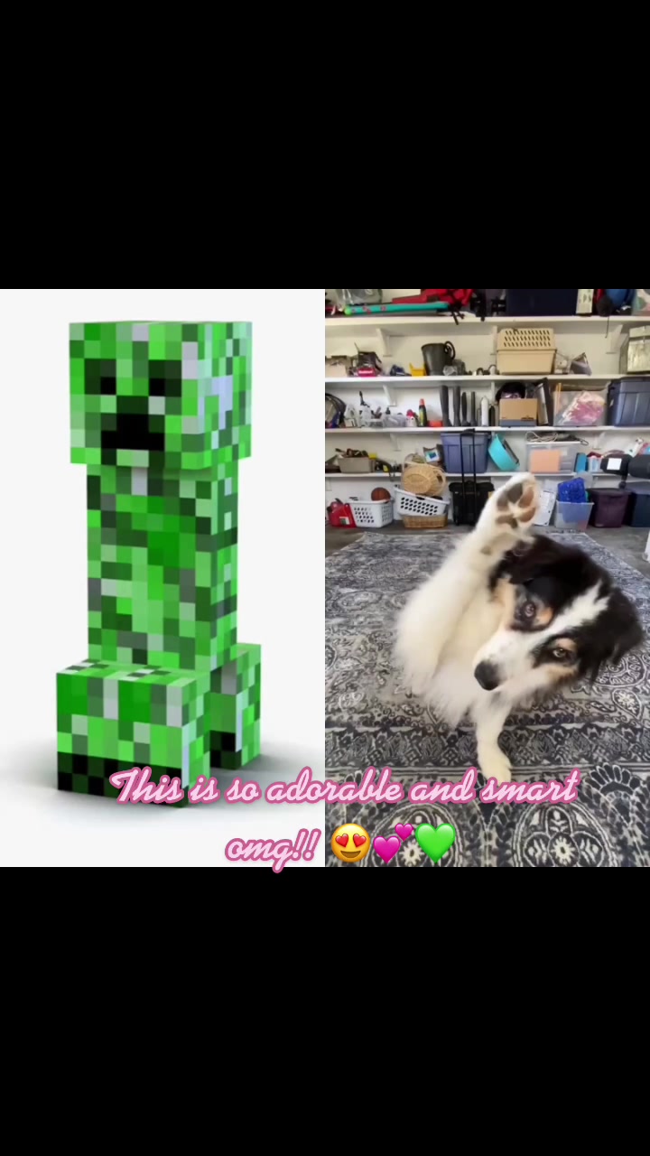@💚🧨💚😟💚🧨💚