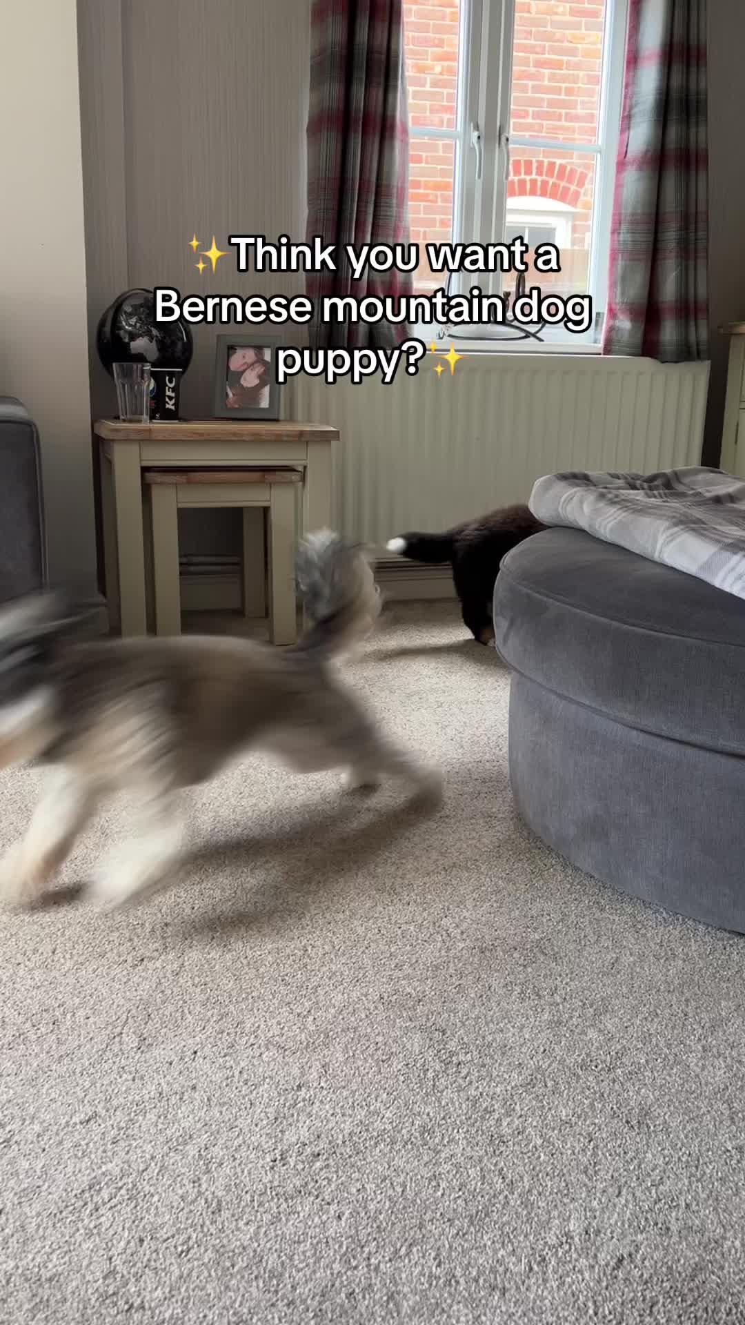 @GorgeousGeorge