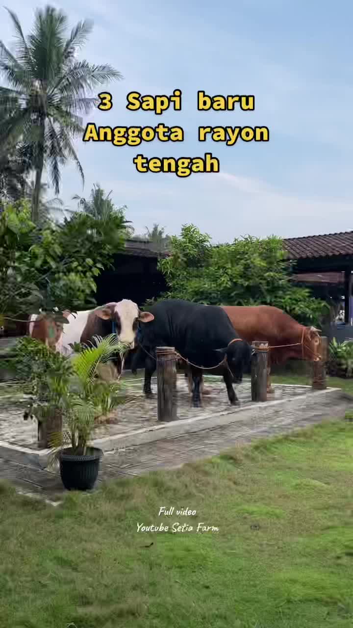 @Setia Farm
