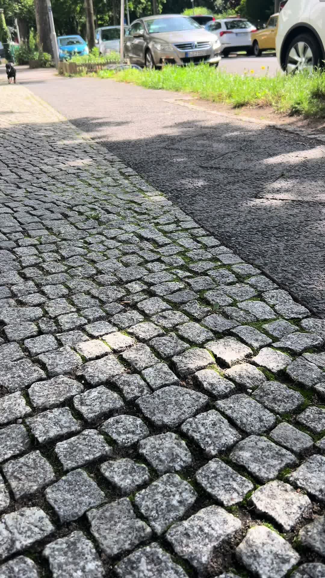 @MrsOPunkt