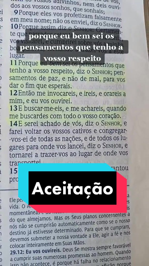 @João Victor Maximiano