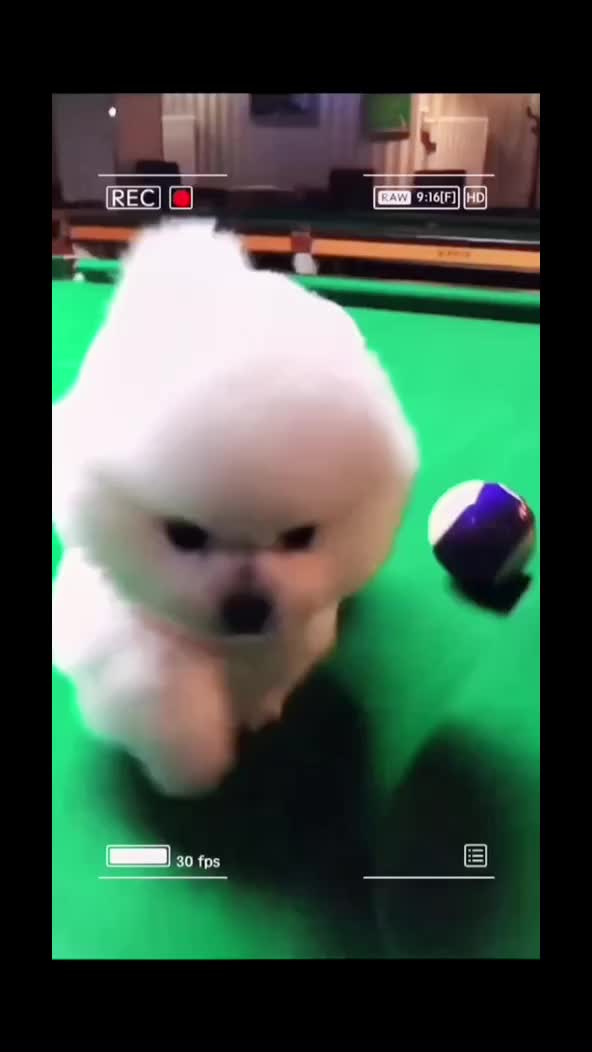 @fyygg12
