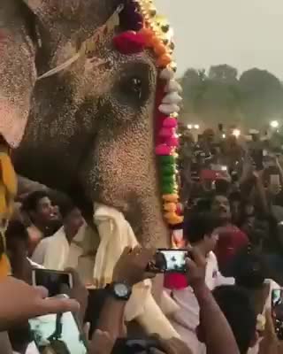 @midhunkattppa