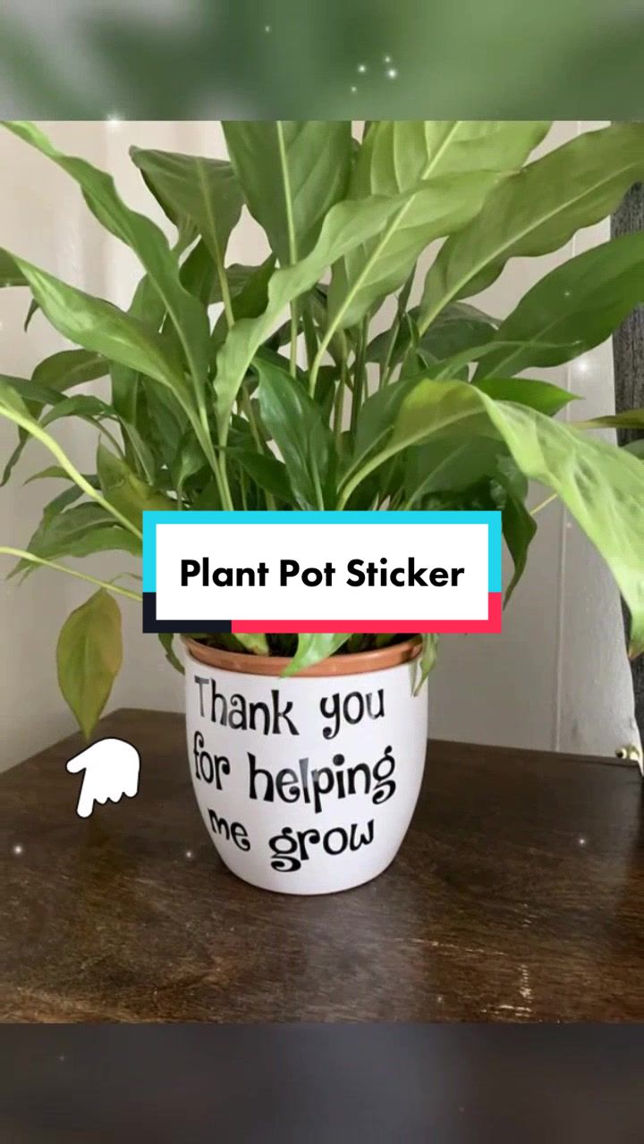 @Plant!U