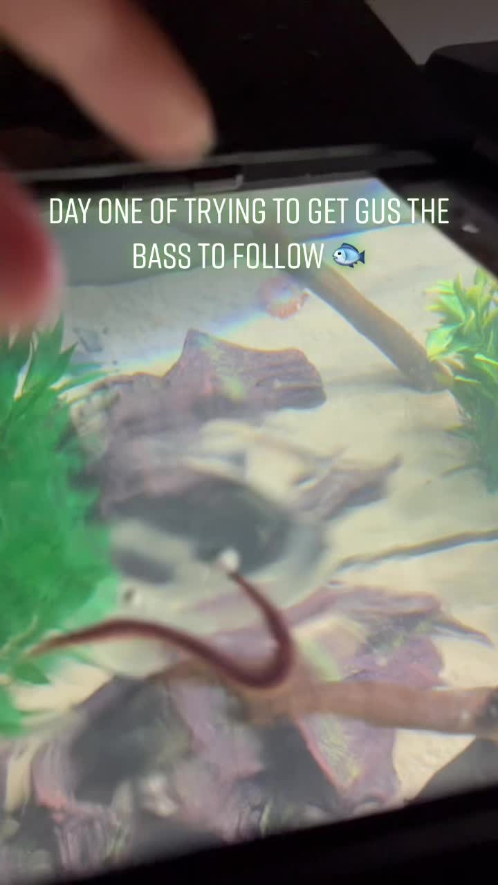 @Grub_the_bass