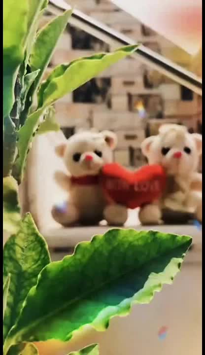 @Tanu Gujjar