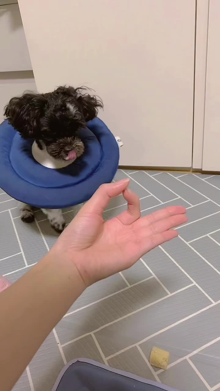 @yoontan