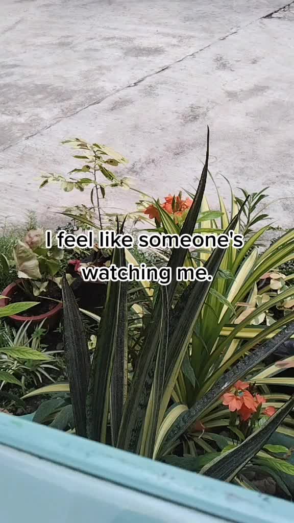 @hoyeon's gf (real😣‼️)