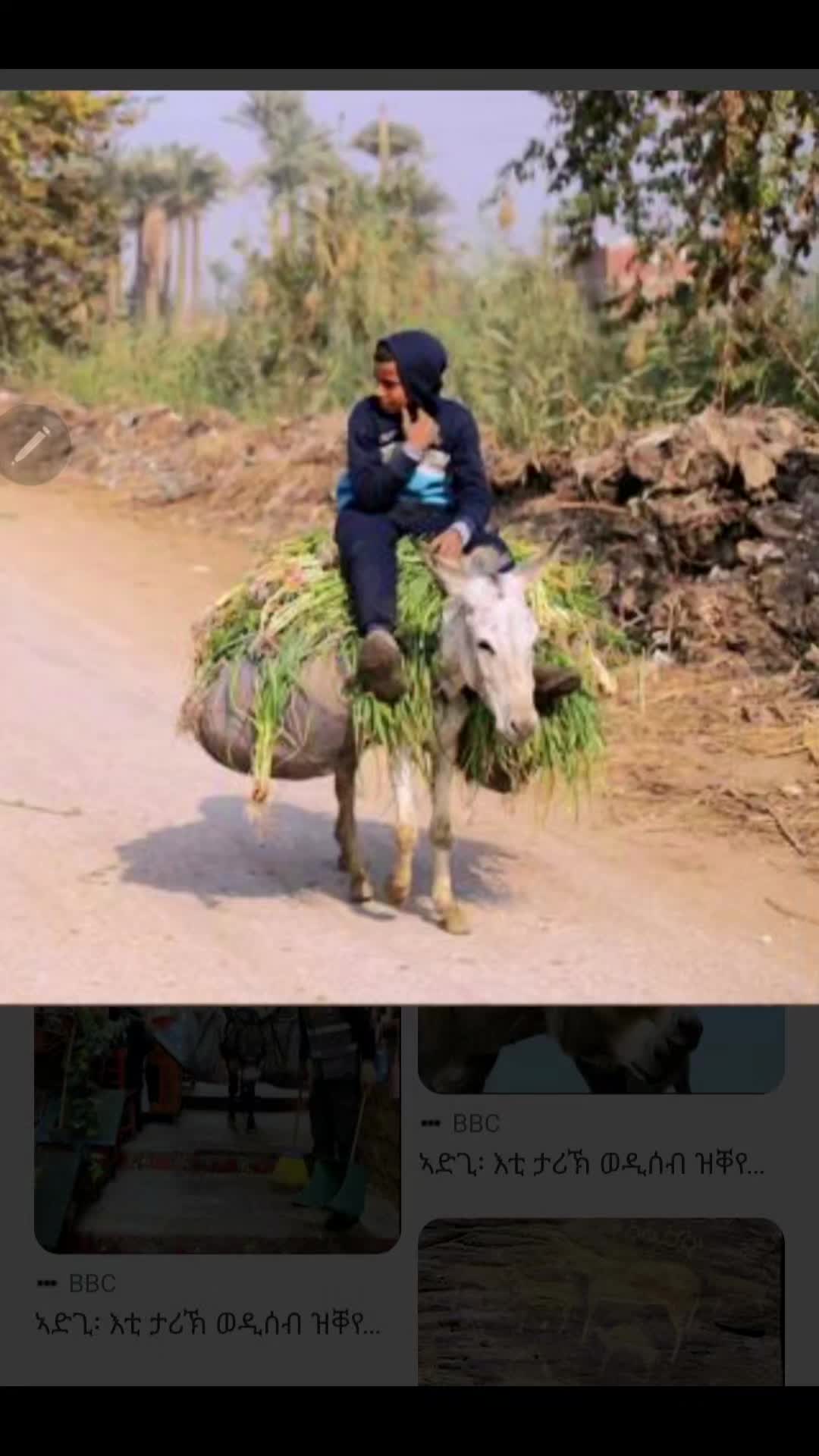 @The King እቲ ንጉስ