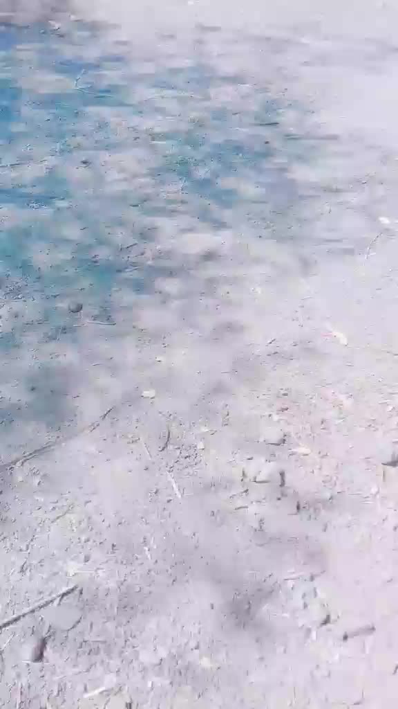 @sunnywaghmare1234