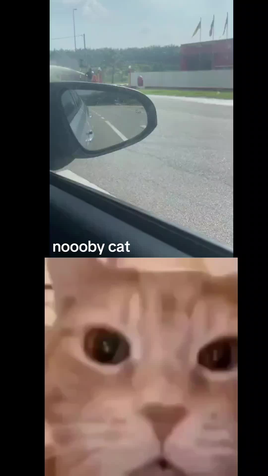 @supreme memes remix 🗿