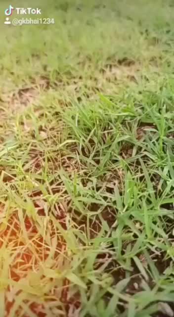 @GK BHAI