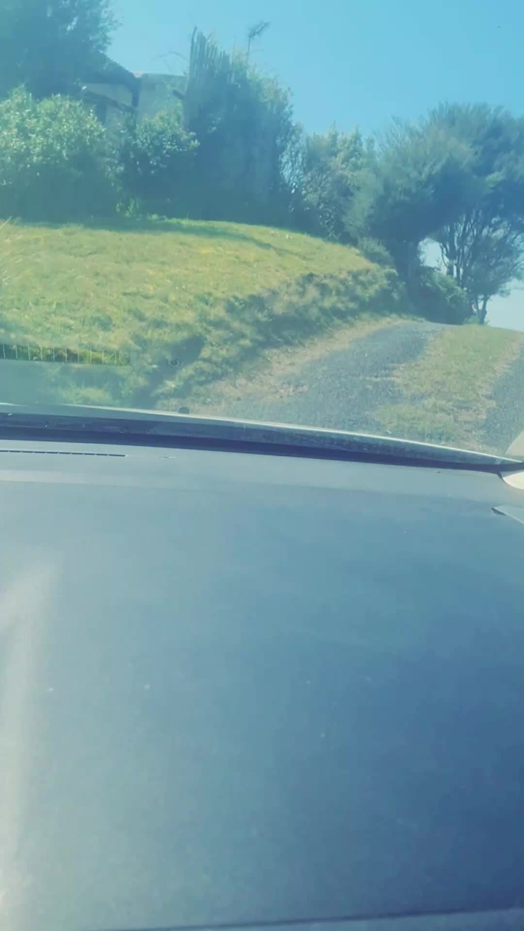 @Courier Driver in Paradise