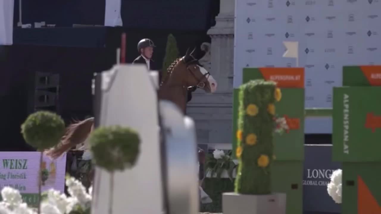 @Horses