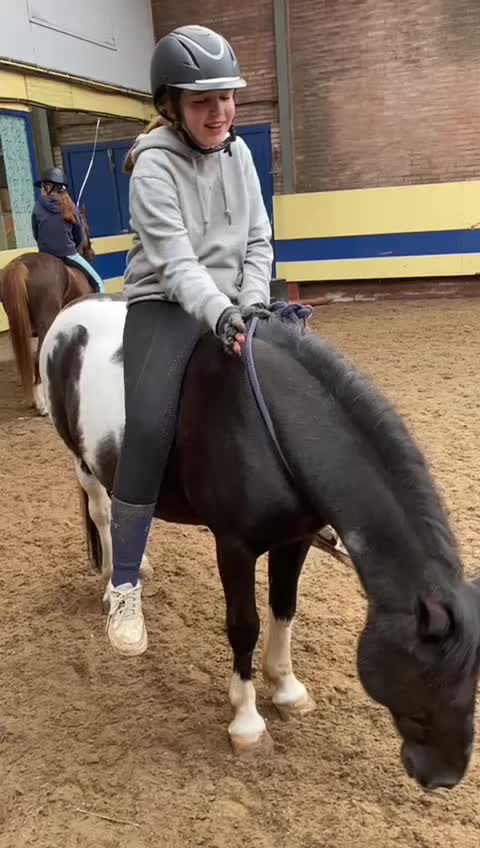 @De Hilversumse ponyclub