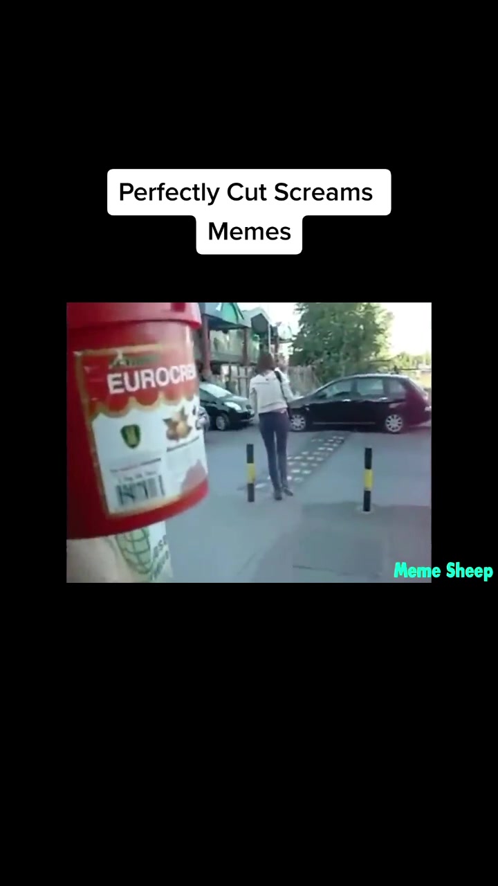 @FunnyGamer