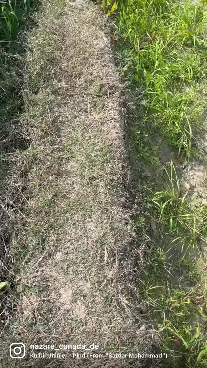 @Sekhon saab