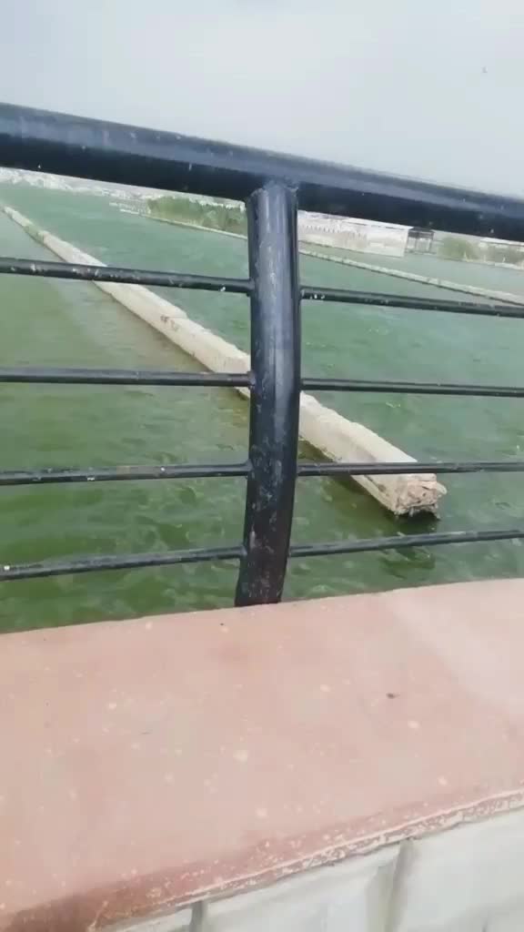 @jitu. Nangaliya