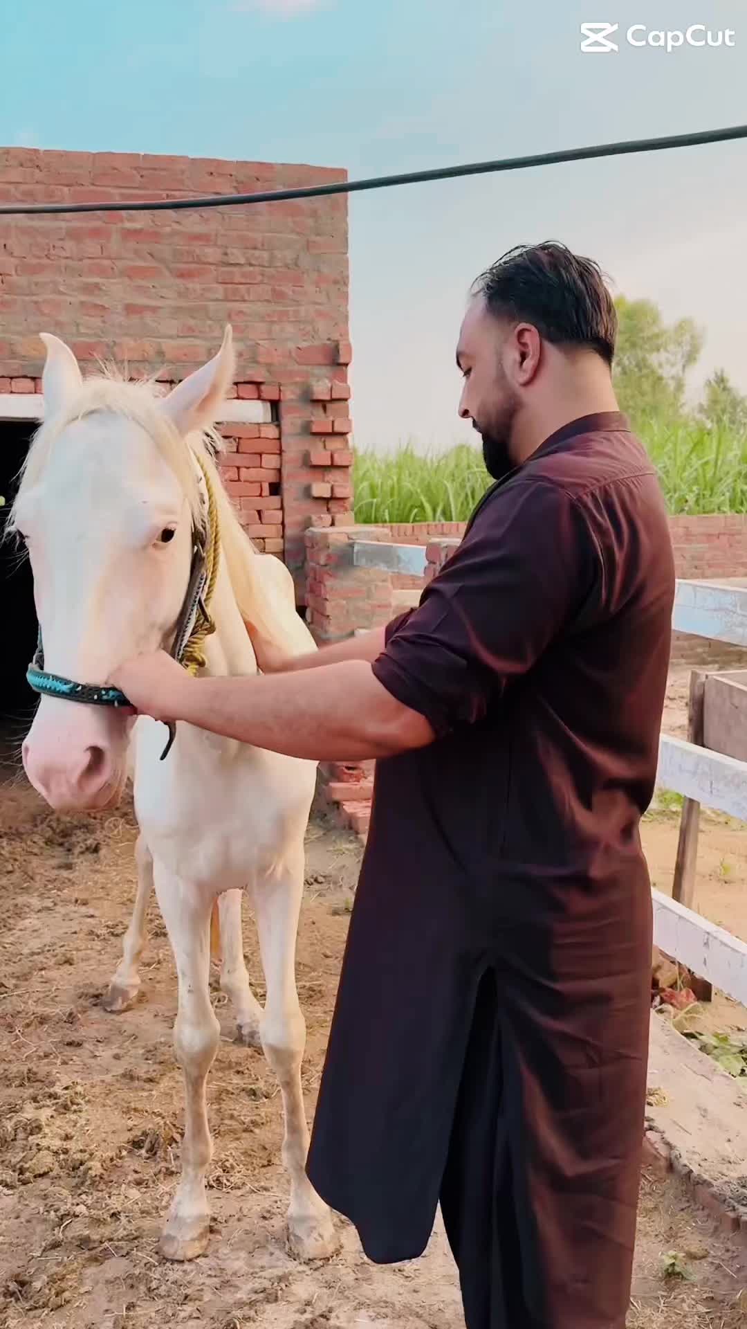 @Mohsin Gondal
