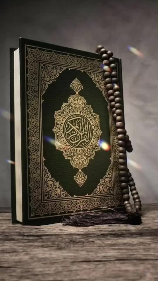 @💙❤️shabeer bin muhammed💙❤️