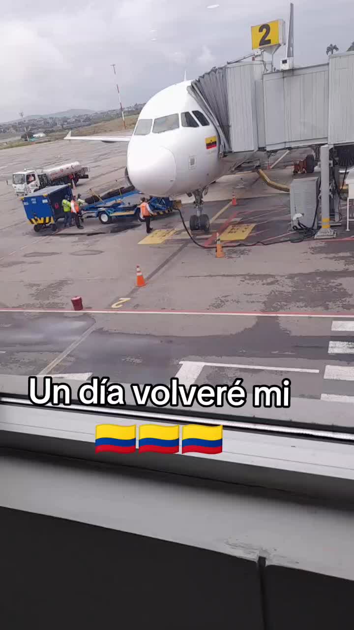 @Lina