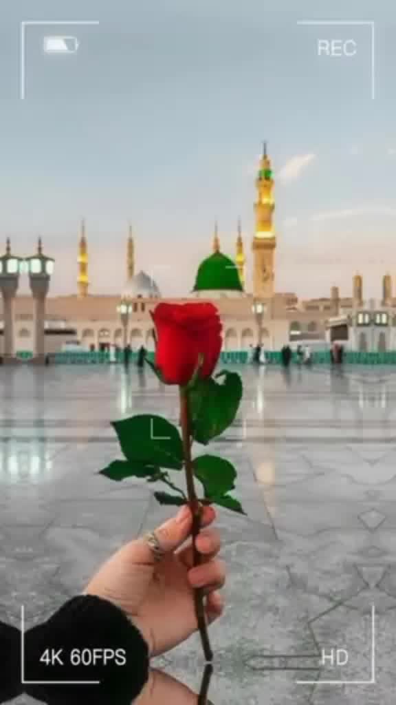 @hunainbhutto3