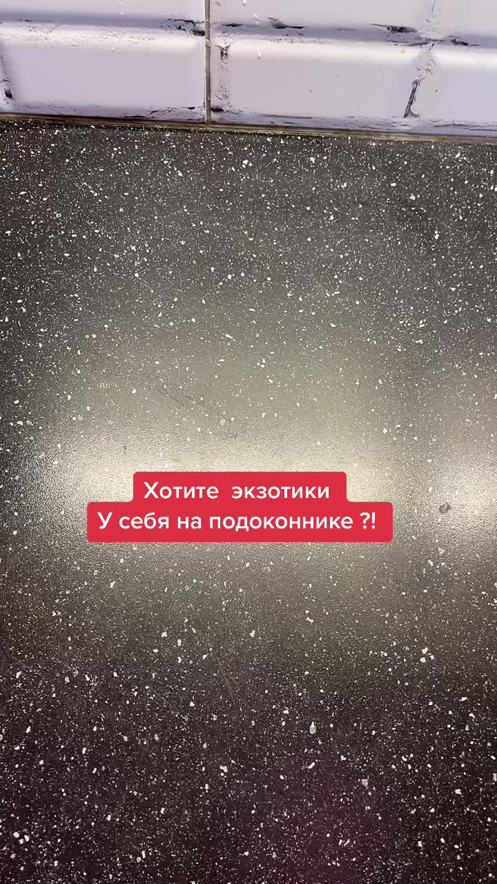 @Елена 🌱 Рай можно купить