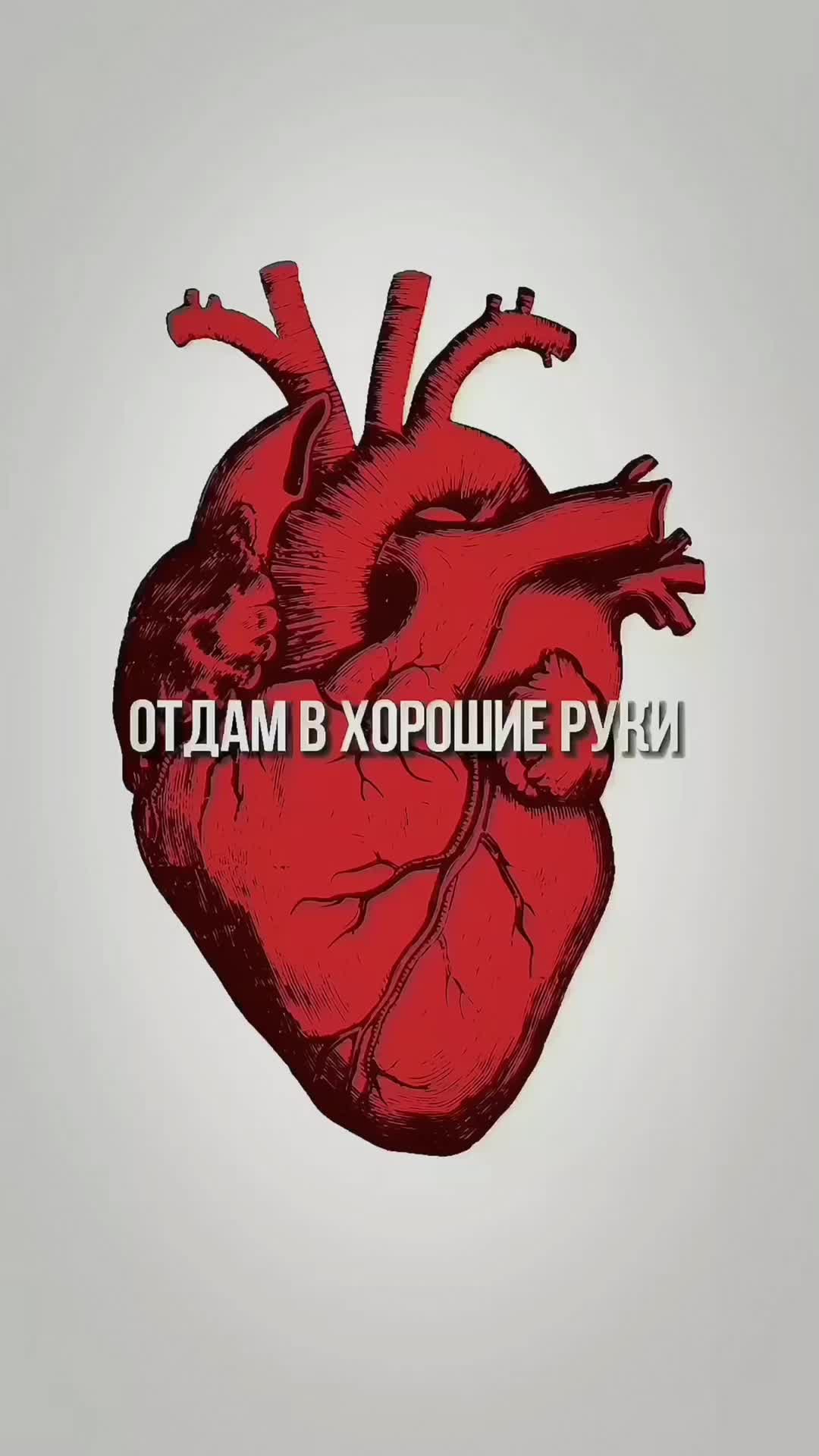 @Божечки ты че