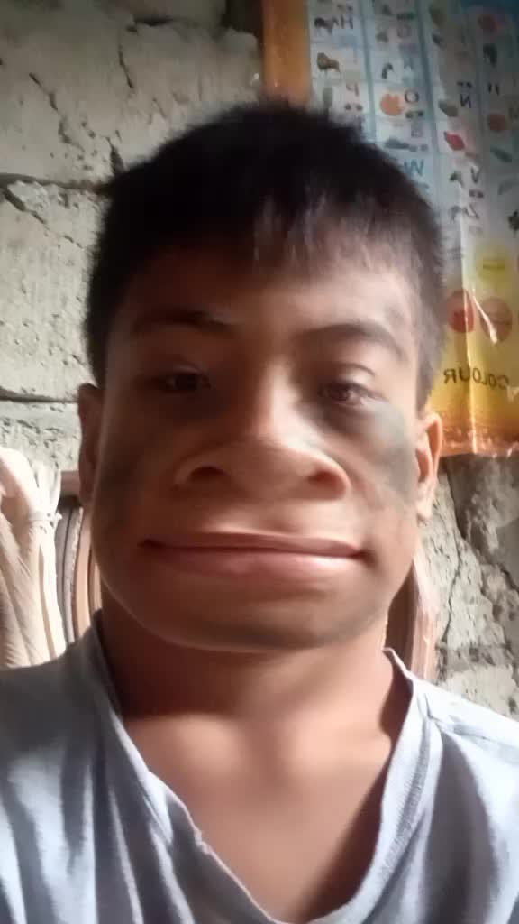 @Chook Lang