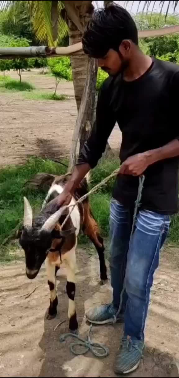 @user14311570734