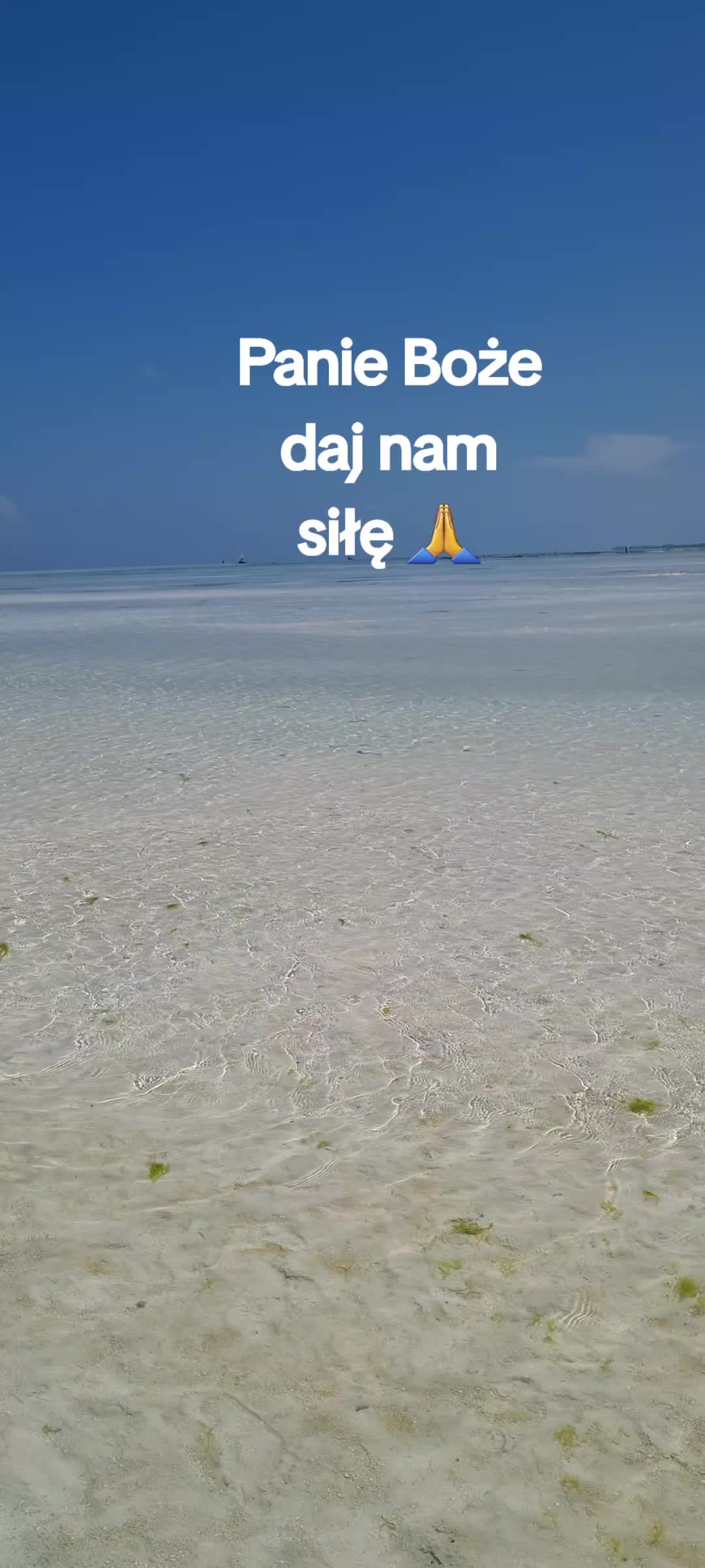 @🇵🇱 Engel 🇩🇪