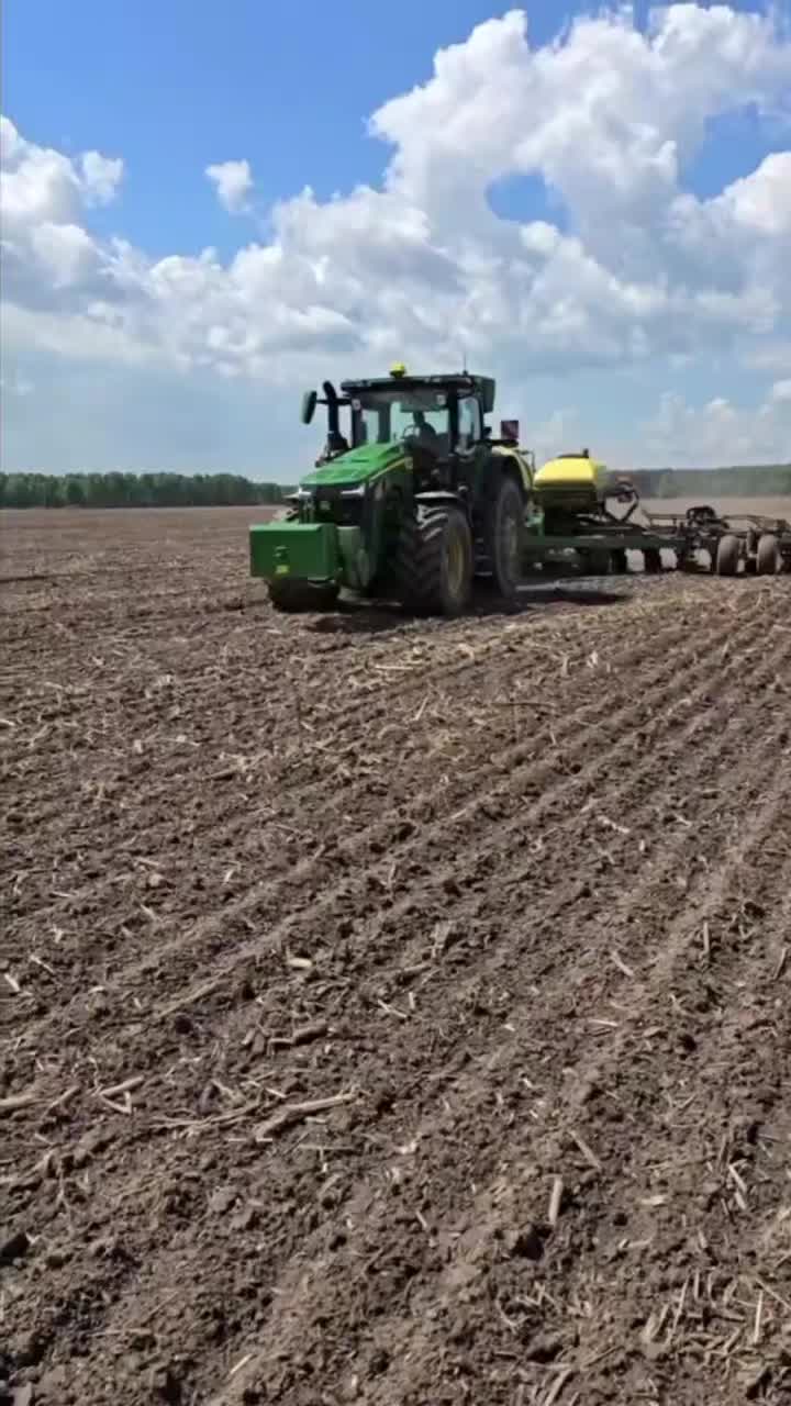 @Антон Белый