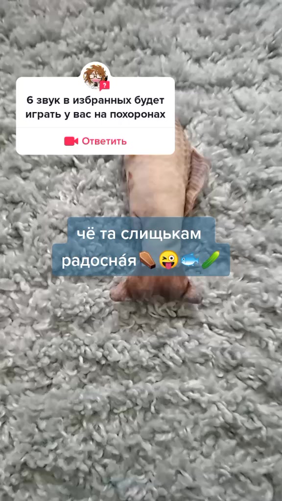 @карасёнок два два восемь