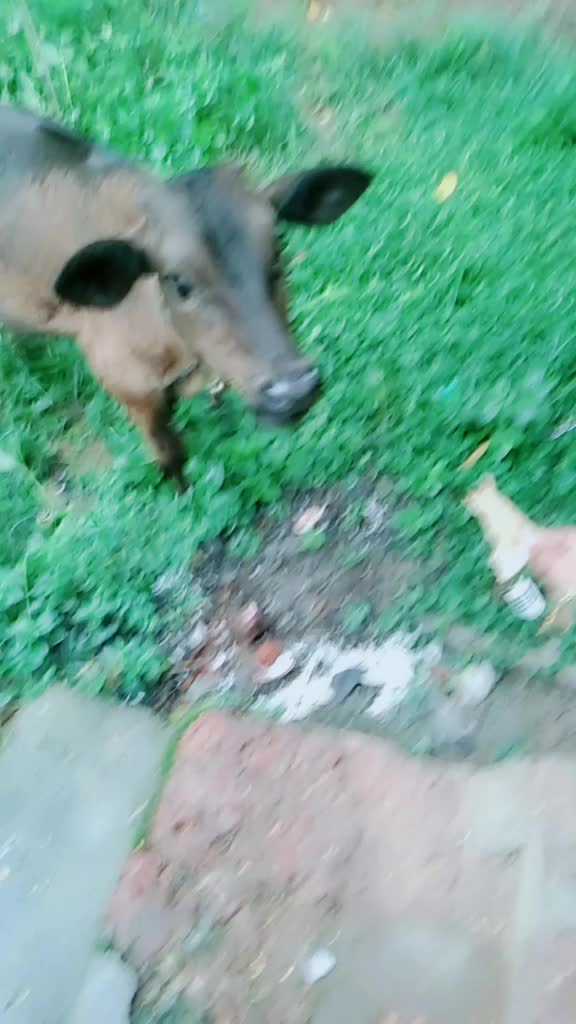 @സഫ്ന