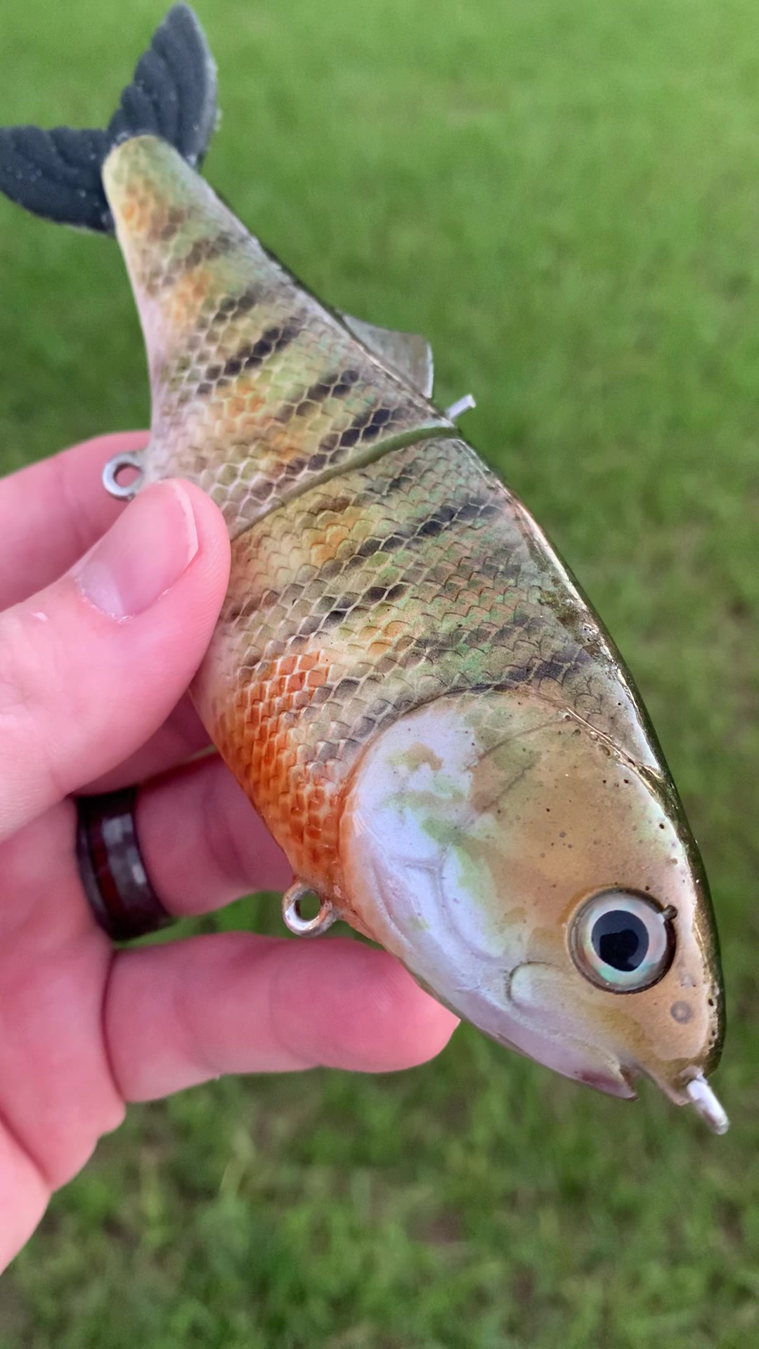 @grovesbaitco