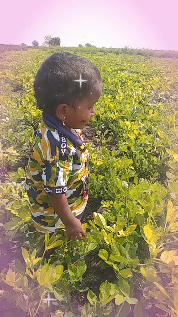 @user2406440361082