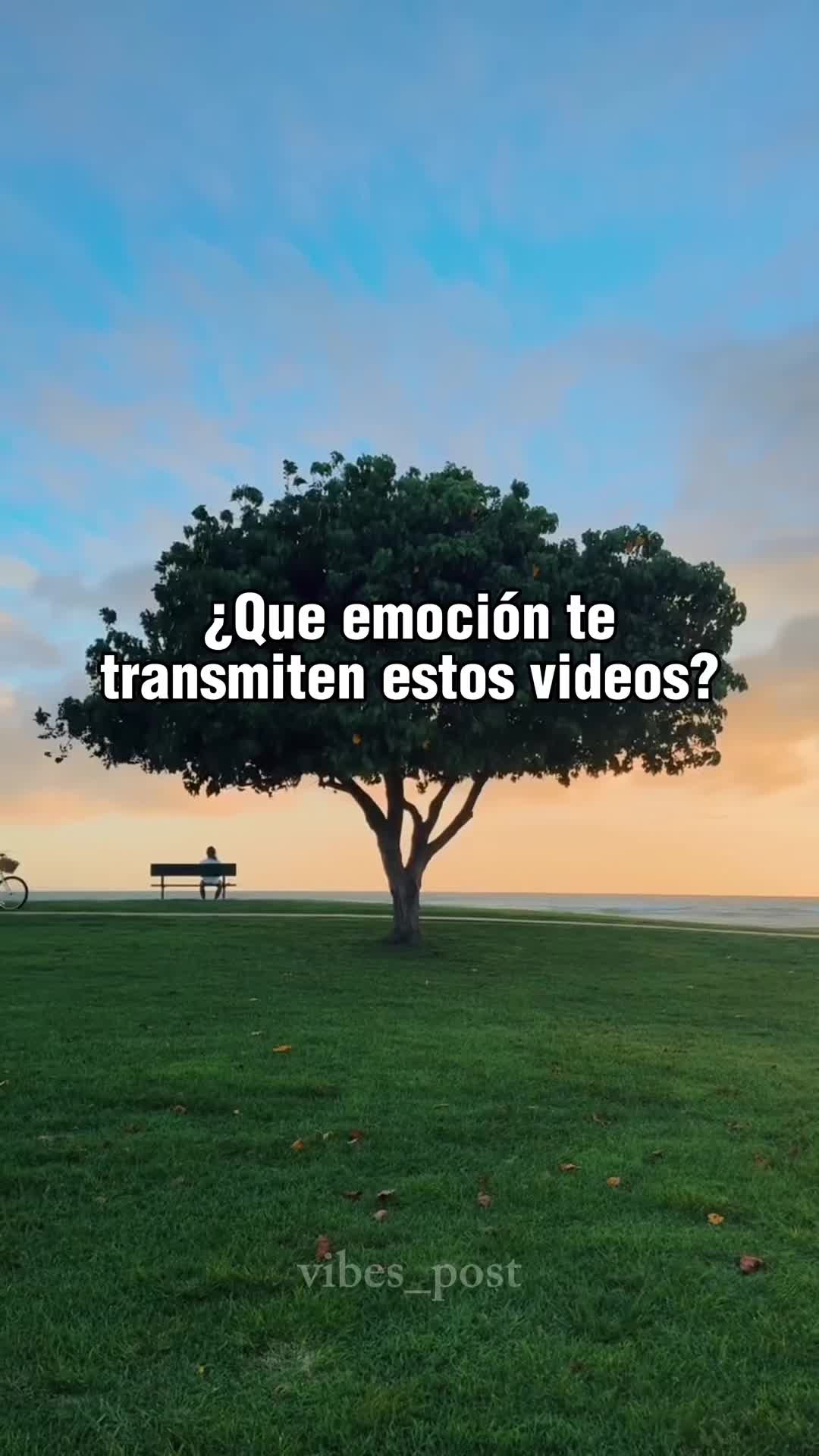 @vibes_post