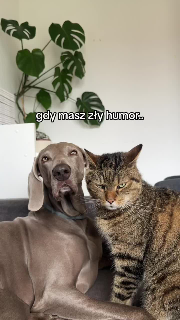 @lola | ig: heydoggyblog