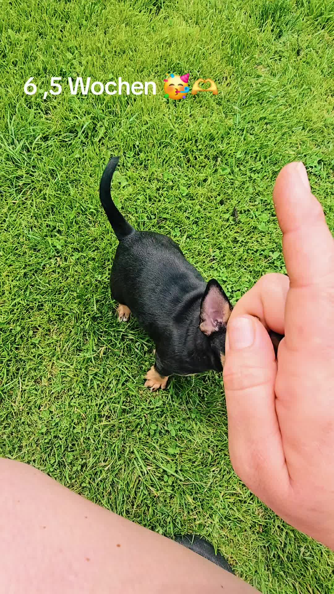 @🐕TiZi❤️🔥