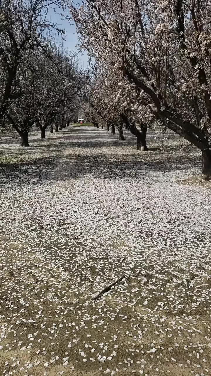 @guzmanproduce