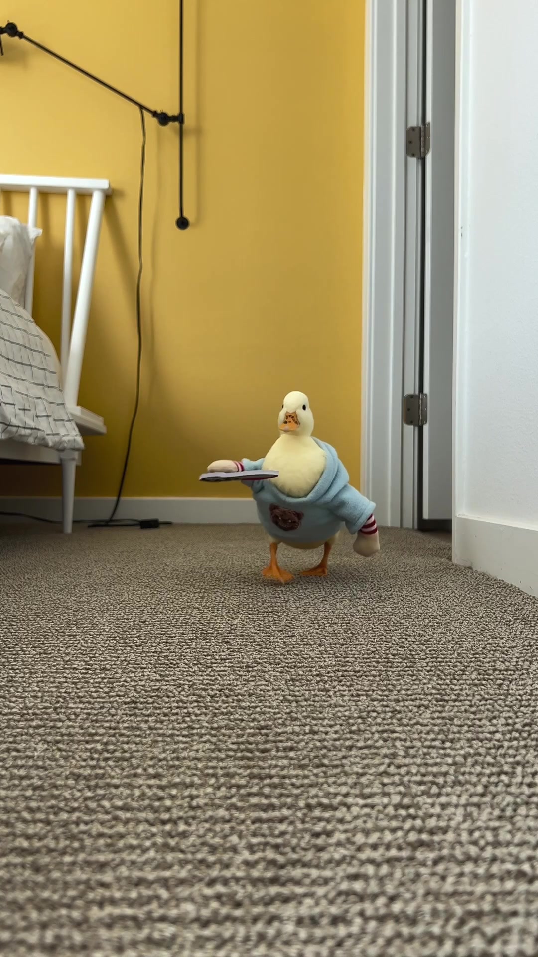 @ducks_in_space🪿🪿💦