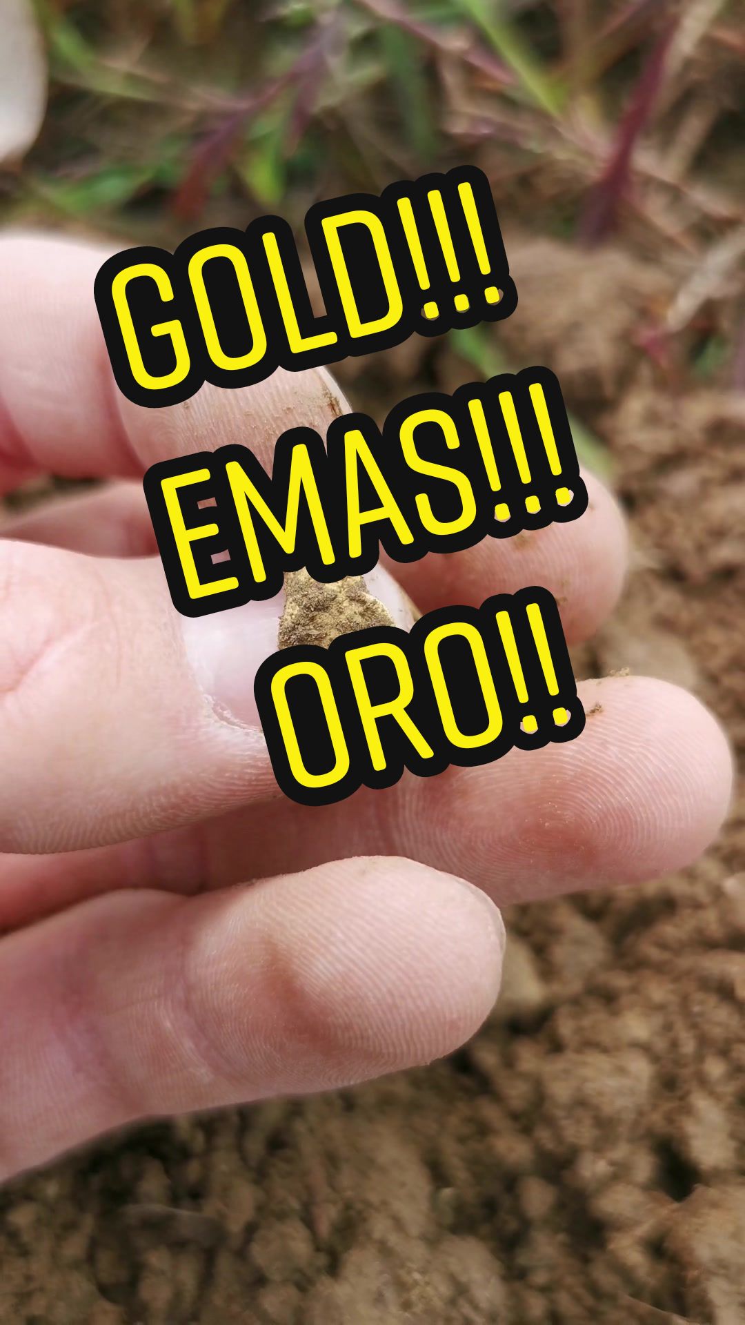 @⚒️  BTH  ⛏️
