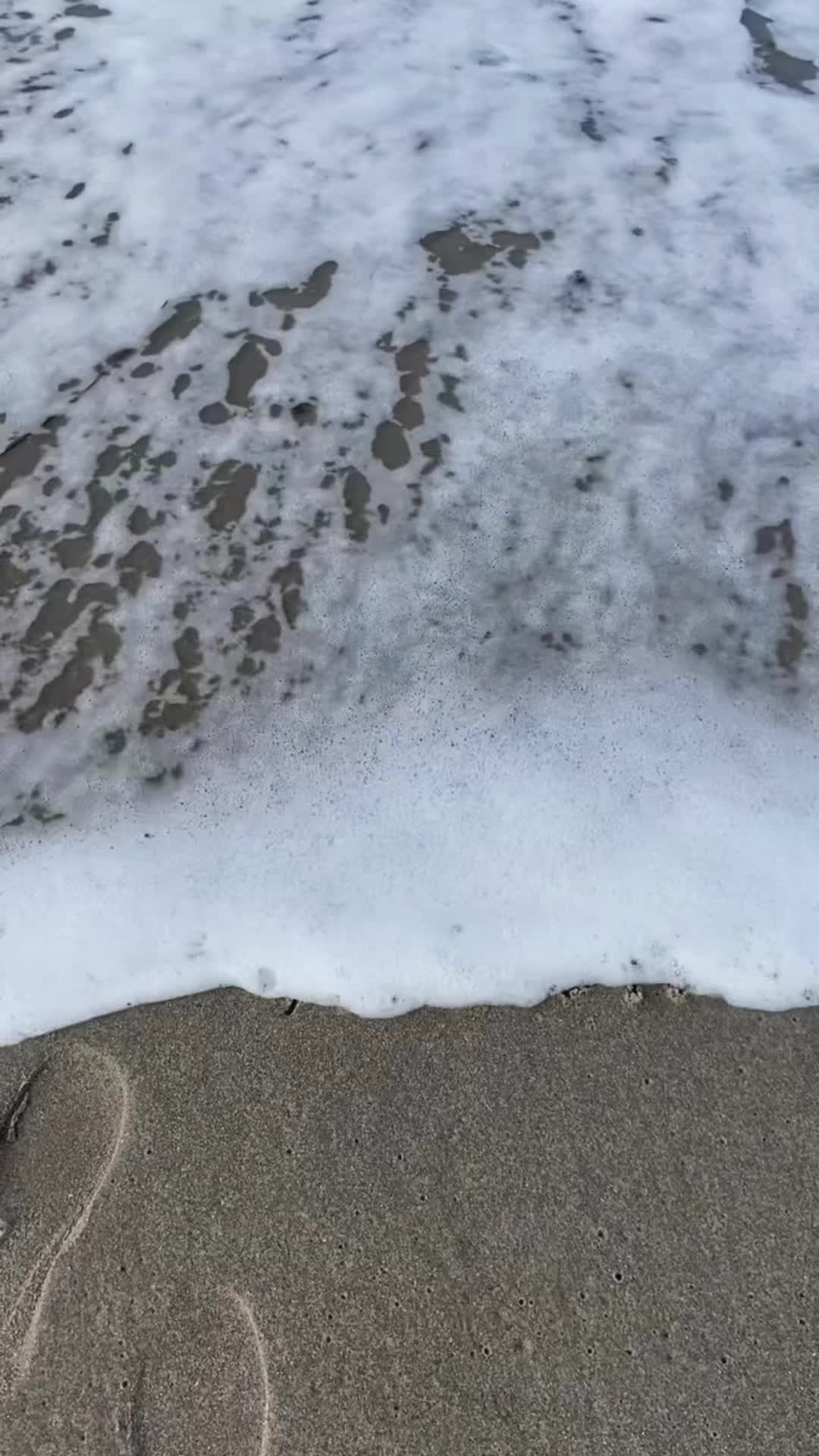 @Allegrää 🐛
